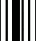 Bold Black and White Stripe Pattern Rug