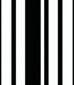 Bold Black and White Stripe Pattern Rug