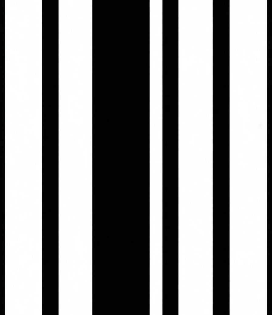 Bold Black and White Stripe Pattern Rug
