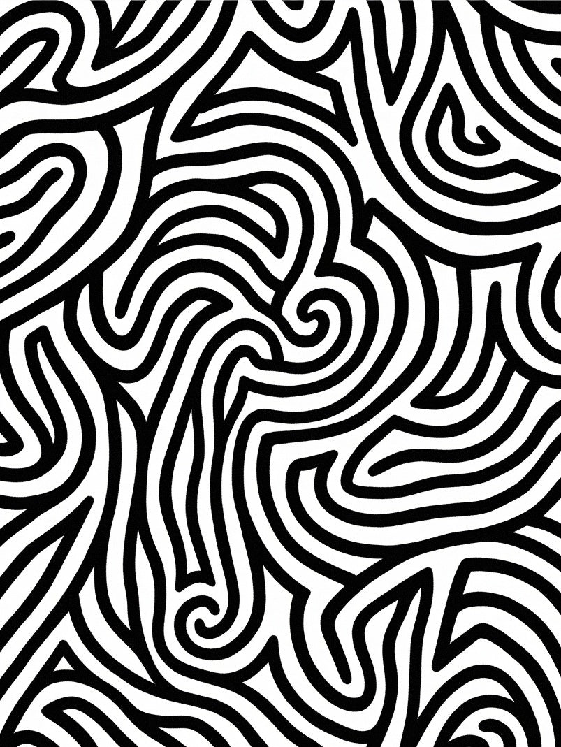 Bold Black White Swirl Pattern Rug
