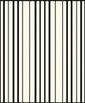 Bold Vertical Stripe Pattern Rug