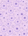 Lavender Floral Outline Pattern Rug