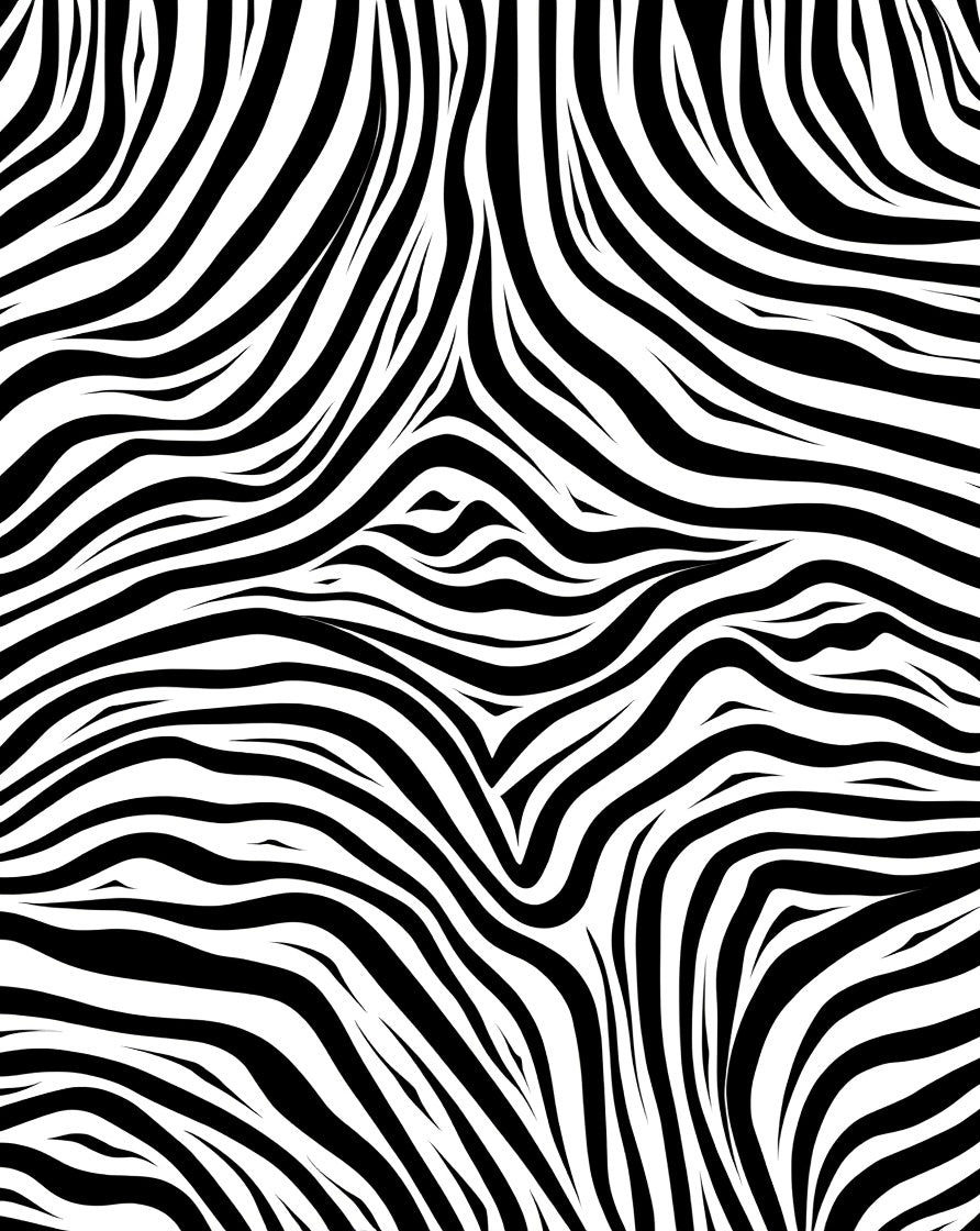 Bold Black White Animalistic Stripes Rug