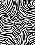Bold Black White Animalistic Stripes Rug