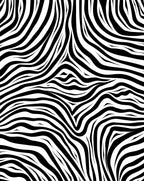 Bold Black White Animalistic Stripes Rug
