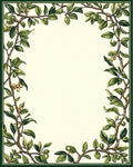 Botanical Vine Olive Branch Border Rug