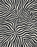 Bold Black White Stripe Pattern Rug