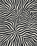 Bold Black White Stripe Pattern Rug