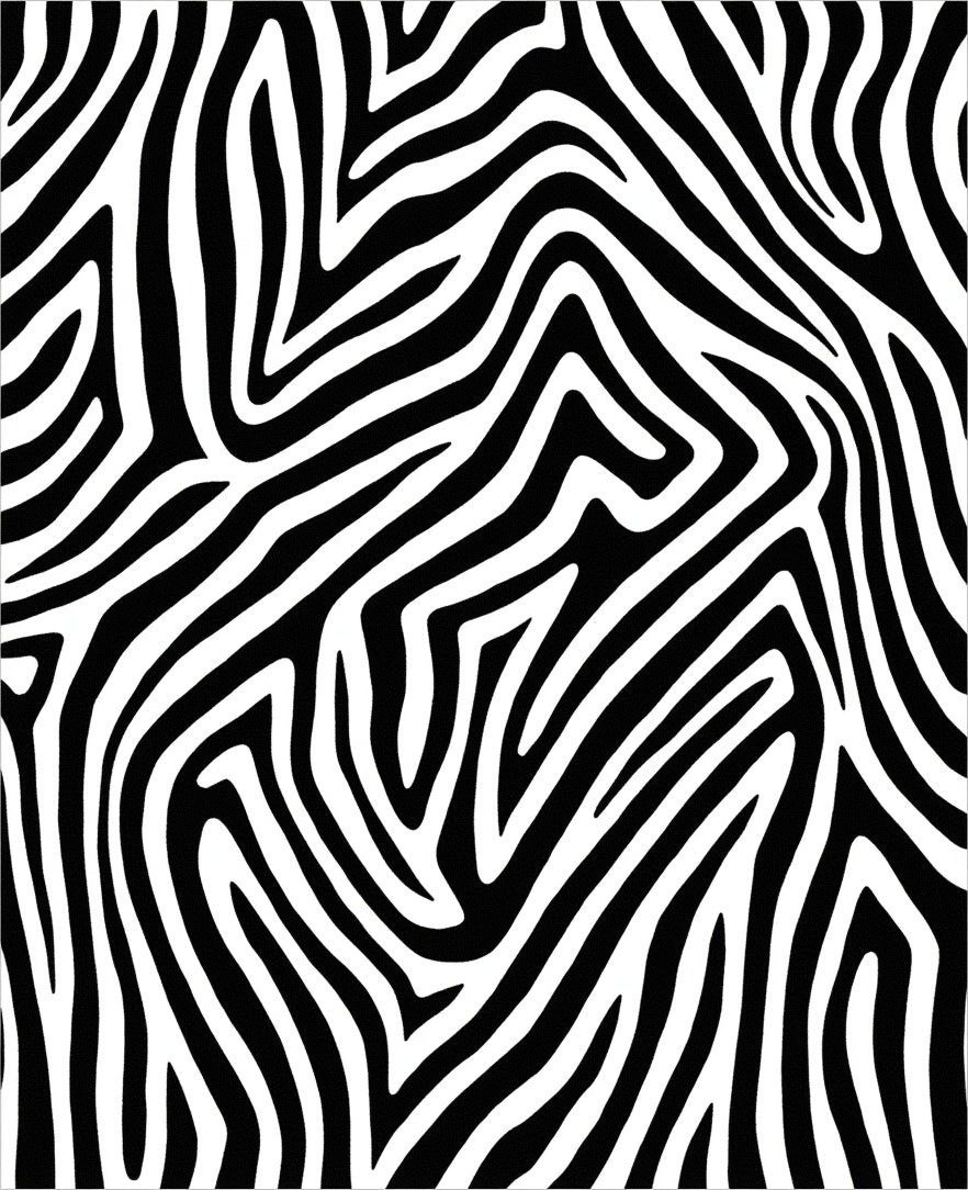 Bold Black White Zebra Stripes Rug
