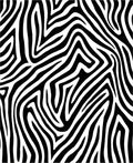 Bold Black White Zebra Stripes Rug