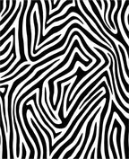Bold Black White Zebra Stripes Rug
