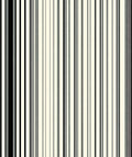 Bold Striped Modern Pattern Rug