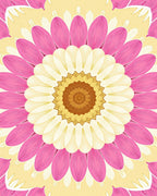 Floral Mandala Radiance Rug