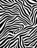 Bold Abstract Zebra Striped Pattern Rug