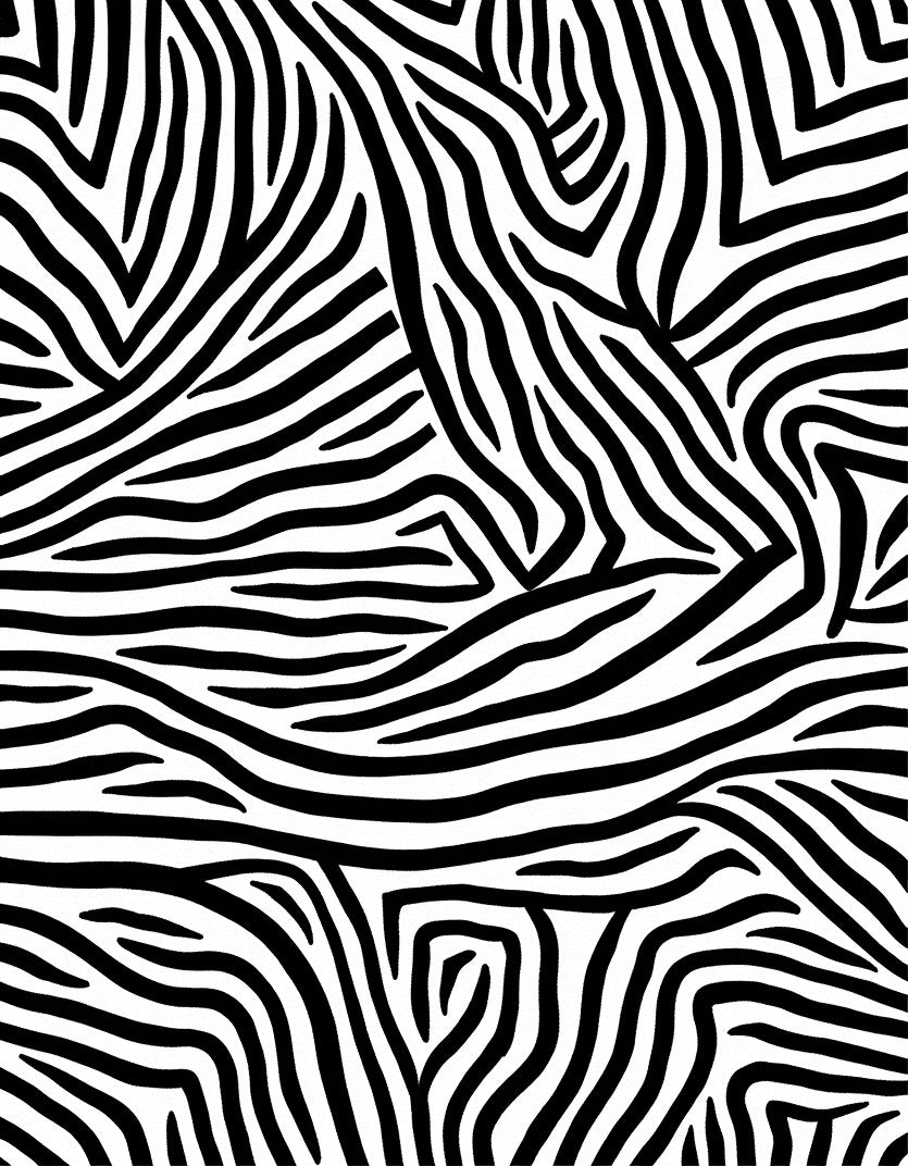 Bold Zebra Stripe Pattern Rug