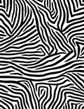 Bold Zebra Stripe Pattern Rug