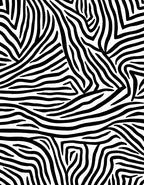 Bold Zebra Stripe Pattern Rug