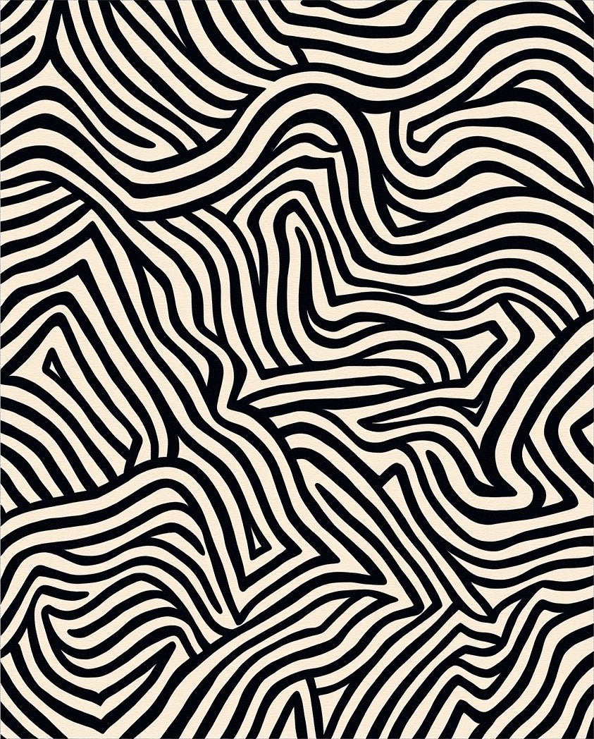 Black and White Curving Lines Rug
