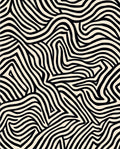 Black and White Curving Lines Rug