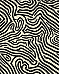 Abstract Black Zebra Stripe Design Rug