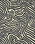 Abstract Black Zebra Stripe Design Rug