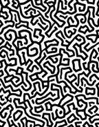 Bold Black White Maze Pattern Rug