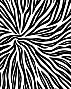 Black White Dynamic Stripe Pattern Rug