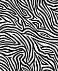 Bold Black White Animal Print Rug