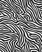 Bold Black White Animal Print Rug