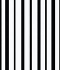 Bold Black White Stripe Design Rug