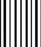 Bold Black White Stripe Design Rug