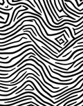 Monochrome Abstract Zebra Print Rug