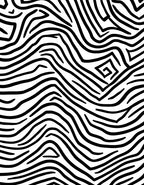 Monochrome Abstract Zebra Print Rug