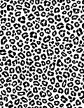 Bold Black Spot Print Pattern Rug