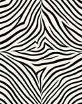 Bold Black White Stripe Pattern Rug