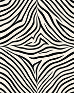 Bold Black White Stripe Pattern Rug