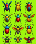 Colorful Insect Array Pattern Rug