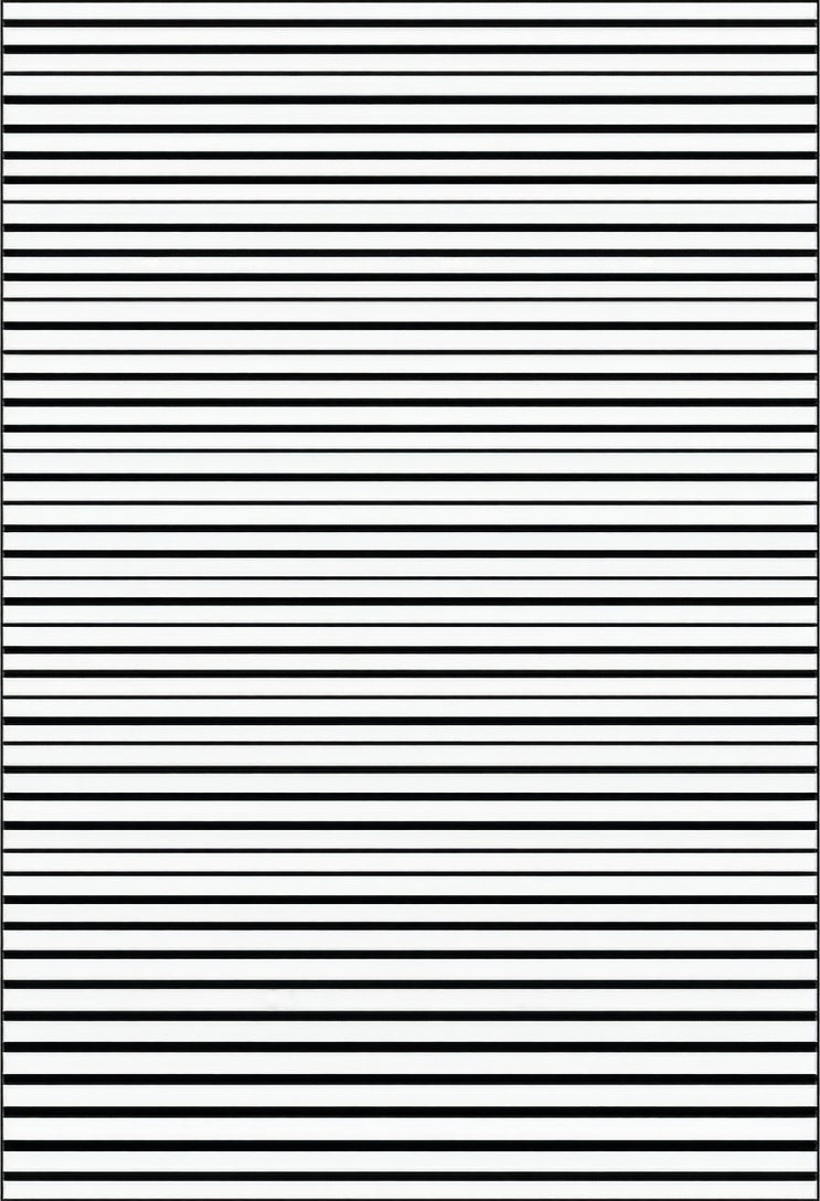 Bold Black White Striped Pattern Rug