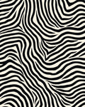 Bold Black White Animal Print Rug