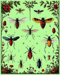 Vintage Insect Floral Botanical Chart Rug