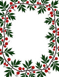 Crimson Berry Vine Border Rug