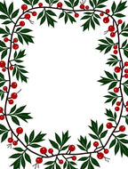 Crimson Berry Vine Border Rug