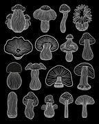 Whimsical Mushroom Line Art Design Rug
