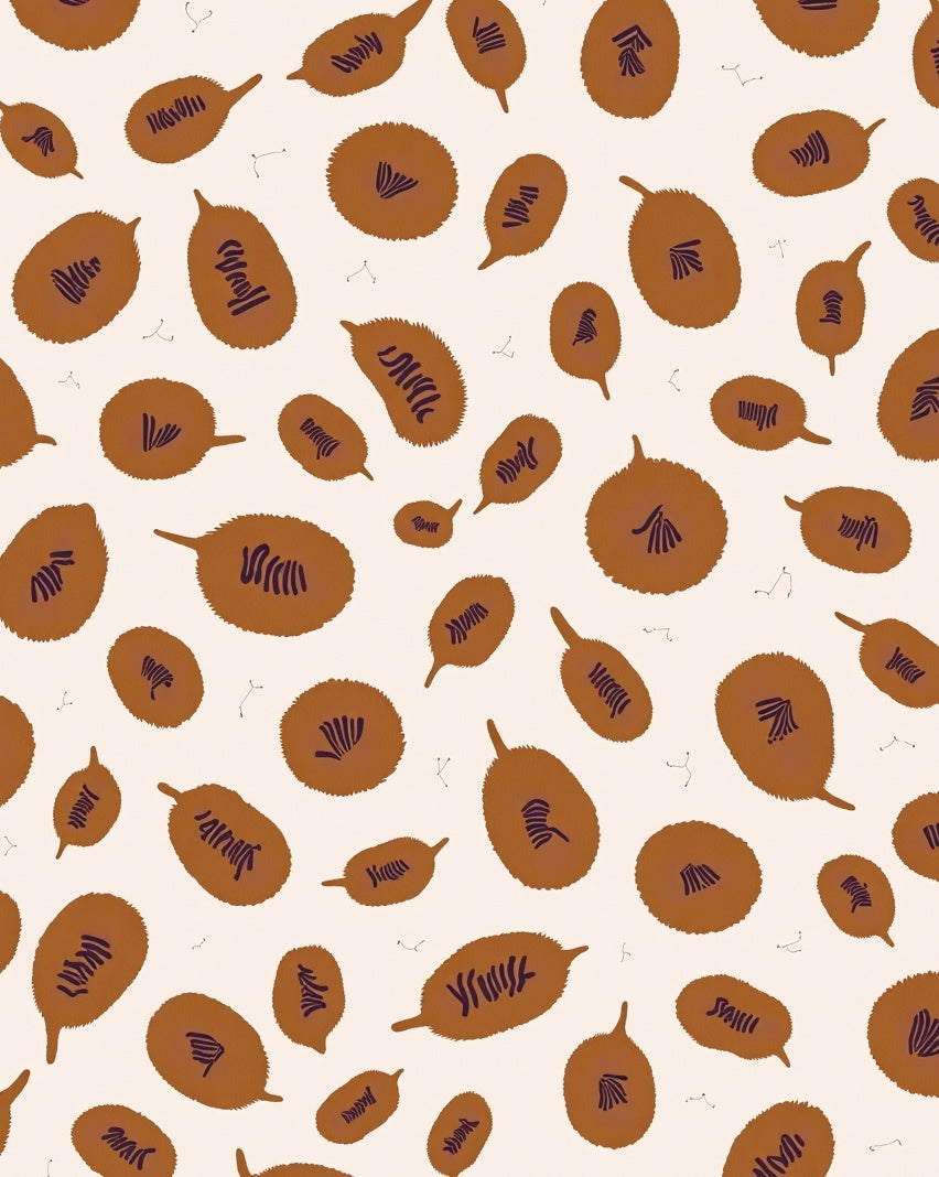 Organic Seed Pod Pattern Rug