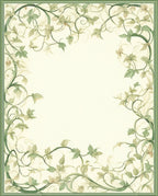 Vine Scroll Botanical Border Pattern Rug