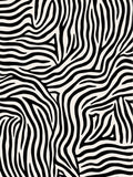 Bold Black White Zebra Stripe Design Rug