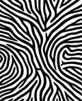 Wild Zebra Stripe Pattern Design Rug