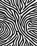 Wild Zebra Stripe Pattern Design Rug