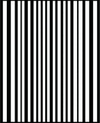 Bold Black White Stripe Pattern Rug