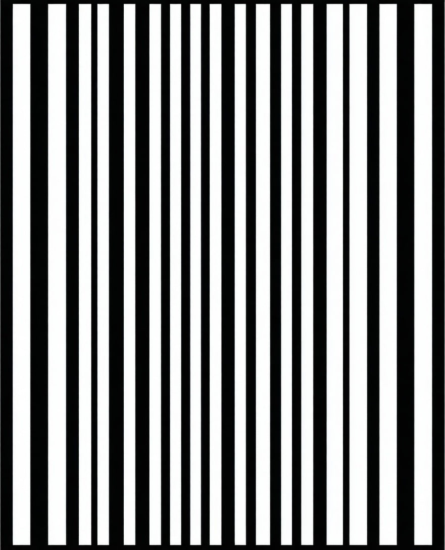 Bold Black White Stripe Pattern Rug